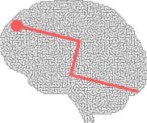 Thinking Distortions Brain